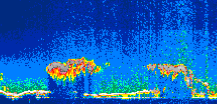 /calipso-imagery/data/BROWSE/production/V5-00/2013-06-03/2013-06-03_09-31-53_V5.00_1_thmb.png image missing