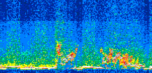/calipso-imagery/data/BROWSE/production/V5-00/2013-06-03/2013-06-03_16-07-24_V5.00_3_thmb.png image missing