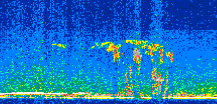 /calipso-imagery/data/BROWSE/production/V5-00/2013-06-03/2013-06-03_19-25-15_V5.00_2_thmb.png image missing