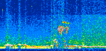 /calipso-imagery/data/BROWSE/production/V5-00/2013-06-03/2013-06-03_21-04-05_V5.00_2_thmb.png image missing