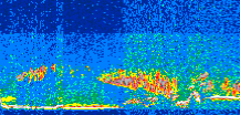 /calipso-imagery/data/BROWSE/production/V5-00/2013-06-04/2013-06-04_13-32-57_V5.00_3_thmb.png image missing