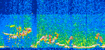 /calipso-imagery/data/BROWSE/production/V5-00/2013-06-04/2013-06-04_16-50-42_V5.00_3_thmb.png image missing