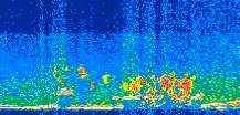 /calipso-imagery/data/BROWSE/production/V5-00/2013-06-04/2013-06-04_21-47-23_V5.00_3_thmb.png image missing