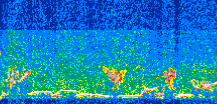 /calipso-imagery/data/BROWSE/production/V5-00/2013-06-06/2013-06-06_00-09-32_V5.00_3_thmb.png image missing
