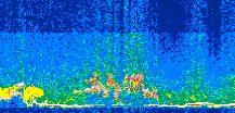 /calipso-imagery/data/BROWSE/production/V5-00/2013-06-06/2013-06-06_08-23-53_V5.00_3_thmb.png image missing