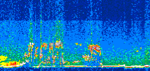/calipso-imagery/data/BROWSE/production/V5-00/2013-06-06/2013-06-06_10-02-48_V5.00_3_thmb.png image missing