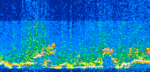 /calipso-imagery/data/BROWSE/production/V5-00/2013-06-06/2013-06-06_13-20-33_V5.00_3_thmb.png image missing
