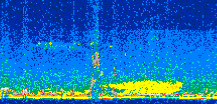 /calipso-imagery/data/BROWSE/production/V5-00/2013-06-06/2013-06-06_14-59-29_V5.00_2_thmb.png image missing
