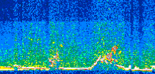 /calipso-imagery/data/BROWSE/production/V5-00/2013-06-06/2013-06-06_14-59-29_V5.00_3_thmb.png image missing