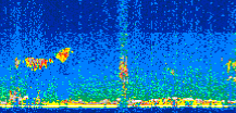 /calipso-imagery/data/BROWSE/production/V5-00/2013-06-06/2013-06-06_23-13-50_V5.00_2_thmb.png image missing