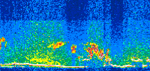 /calipso-imagery/data/BROWSE/production/V5-00/2013-06-07/2013-06-07_00-52-45_V5.00_3_thmb.png image missing