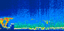 /calipso-imagery/data/BROWSE/production/V5-00/2013-06-07/2013-06-07_02-31-40_V5.00_1_thmb.png image missing