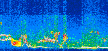 /calipso-imagery/data/BROWSE/production/V5-00/2013-06-07/2013-06-07_07-28-16_V5.00_3_thmb.png image missing