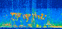 /calipso-imagery/data/BROWSE/production/V5-00/2013-06-07/2013-06-07_17-21-37_V5.00_2_thmb.png image missing