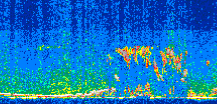 /calipso-imagery/data/BROWSE/production/V5-00/2013-06-07/2013-06-07_19-00-27_V5.00_2_thmb.png image missing
