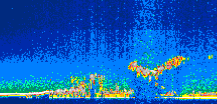 /calipso-imagery/data/BROWSE/production/V5-00/2013-06-07/2013-06-07_23-57-08_V5.00_1_thmb.png image missing