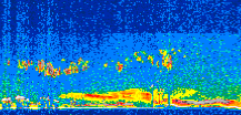 /calipso-imagery/data/BROWSE/production/V5-00/2013-06-08/2013-06-08_09-50-24_V5.00_2_thmb.png image missing