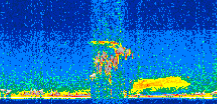 /calipso-imagery/data/BROWSE/production/V5-00/2013-06-08/2013-06-08_14-47-05_V5.00_2_thmb.png image missing