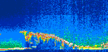 /calipso-imagery/data/BROWSE/production/V5-00/2013-06-08/2013-06-08_16-26-00_V5.00_1_thmb.png image missing