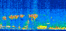 /calipso-imagery/data/BROWSE/production/V5-00/2013-06-08/2013-06-08_16-26-00_V5.00_2_thmb.png image missing