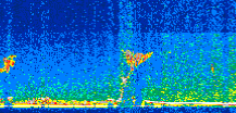 /calipso-imagery/data/BROWSE/production/V5-00/2013-06-08/2013-06-08_21-22-36_V5.00_2_thmb.png image missing