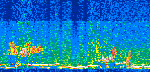 /calipso-imagery/data/BROWSE/production/V5-00/2013-06-08/2013-06-08_23-01-31_V5.00_3_thmb.png image missing