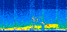 /calipso-imagery/data/BROWSE/production/V5-00/2013-06-12/2013-06-12_14-22-17_V5.00_2_thmb.png image missing