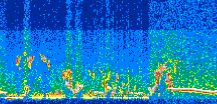 /calipso-imagery/data/BROWSE/production/V5-00/2013-06-12/2013-06-12_14-22-17_V5.00_3_thmb.png image missing