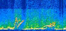 /calipso-imagery/data/BROWSE/production/V5-00/2013-06-12/2013-06-12_16-01-13_V5.00_3_thmb.png image missing