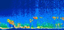 /calipso-imagery/data/BROWSE/production/V5-00/2013-06-12/2013-06-12_17-40-08_V5.00_1_thmb.png image missing