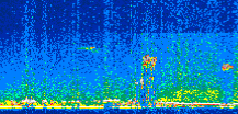 /calipso-imagery/data/BROWSE/production/V5-00/2013-06-12/2013-06-12_20-57-53_V5.00_2_thmb.png image missing