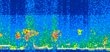 /calipso-imagery/data/BROWSE/production/V5-00/2013-06-12/2013-06-12_22-36-44_V5.00_3_thmb.png image missing
