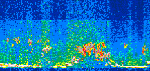 /calipso-imagery/data/BROWSE/production/V5-00/2013-06-14/2013-06-14_02-37-47_V5.00_3_thmb.png image missing