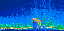 /calipso-imagery/data/BROWSE/production/V5-00/2013-06-14/2013-06-14_04-16-42_V5.00_1_thmb.png image missing