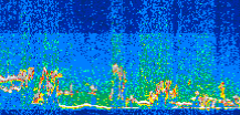 /calipso-imagery/data/BROWSE/production/V5-00/2013-06-14/2013-06-14_07-34-28_V5.00_3_thmb.png image missing