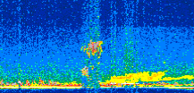 /calipso-imagery/data/BROWSE/production/V5-00/2013-06-14/2013-06-14_15-48-54_V5.00_2_thmb.png image missing