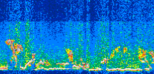 /calipso-imagery/data/BROWSE/production/V5-00/2013-06-14/2013-06-14_17-27-49_V5.00_3_thmb.png image missing