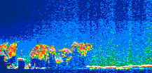 /calipso-imagery/data/BROWSE/production/V5-00/2013-06-14/2013-06-14_19-06-39_V5.00_1_thmb.png image missing