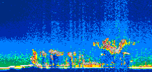 /calipso-imagery/data/BROWSE/production/V5-00/2013-06-29/2013-06-29_00-15-49_V5.00_1_thmb.png image missing