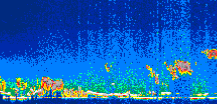 /calipso-imagery/data/BROWSE/production/V5-00/2013-06-29/2013-06-29_13-26-51_V5.00_1_thmb.png image missing