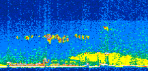 /calipso-imagery/data/BROWSE/production/V5-00/2013-07-01/2013-07-01_09-56-42_V5.00_2_thmb.png image missing