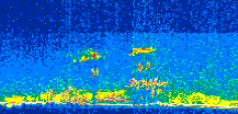 /calipso-imagery/data/BROWSE/production/V5-00/2013-07-01/2013-07-01_11-35-32_V5.00_2_thmb.png image missing