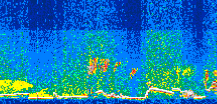 /calipso-imagery/data/BROWSE/production/V5-00/2013-07-01/2013-07-01_14-53-18_V5.00_3_thmb.png image missing
