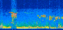 /calipso-imagery/data/BROWSE/production/V5-00/2013-07-02/2013-07-02_00-46-39_V5.00_2_thmb.png image missing