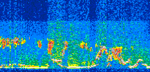 /calipso-imagery/data/BROWSE/production/V5-00/2013-07-02/2013-07-02_02-25-29_V5.00_3_thmb.png image missing