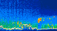 /calipso-imagery/data/BROWSE/production/V5-00/2013-07-02/2013-07-02_09-01-05_V5.00_4_thmb.png image missing