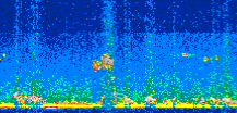 /calipso-imagery/data/BROWSE/production/V5-00/2013-07-02/2013-07-02_23-50-57_V5.00_2_thmb.png image missing