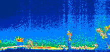 /calipso-imagery/data/BROWSE/production/V5-00/2013-07-04/2013-07-04_02-13-05_V5.00_1_thmb.png image missing