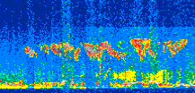 /calipso-imagery/data/BROWSE/production/V5-00/2013-07-04/2013-07-04_08-48-36_V5.00_2_thmb.png image missing