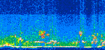 /calipso-imagery/data/BROWSE/production/V5-00/2013-07-04/2013-07-04_08-48-36_V5.00_3_thmb.png image missing